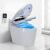 Tankless Smart Toilet With Bidet Built In, One-piece Bidet Toilet Seat, Auto Flush, Auto Open & Auto Close,Heated Seat, Warm Water and Dry, Wireless Remote Control